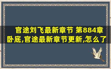 官途刘飞最新章节 第884章 卧底,官途最新章节更新,怎么了东东作品